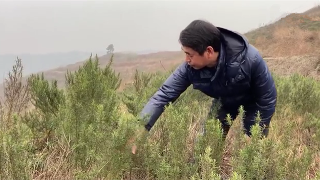 新春走基層｜脫貧后，駐村扶貧隊(duì)長在干啥？